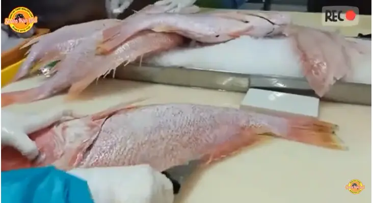Fillet