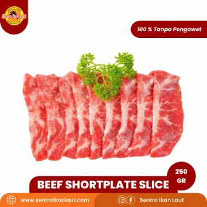 Beef Yakiniku Slice Us