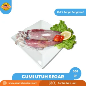 Cumi Fresh