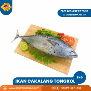 Ikan Cakalang
