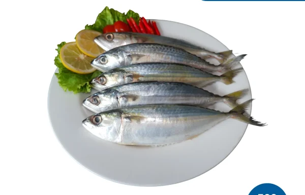Ikan Kembung