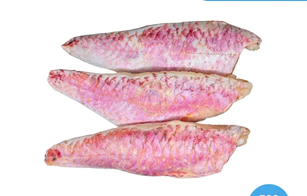Ikan Kakap