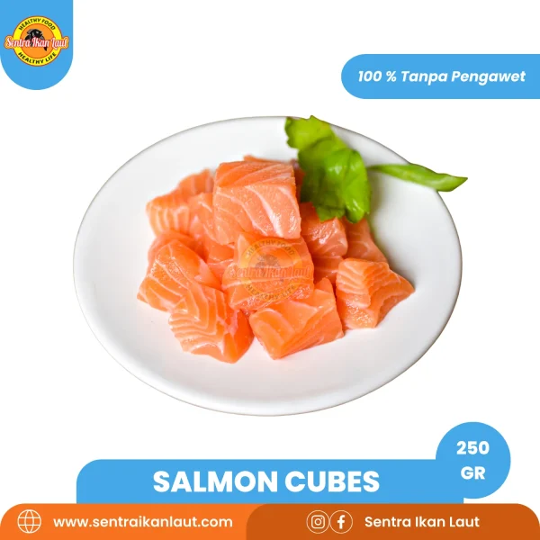 Salmon Cube - Gambar 2