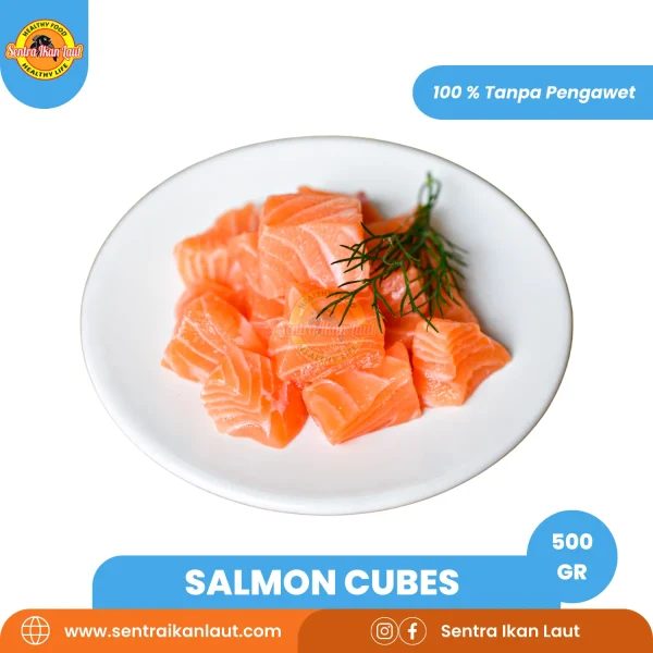 Salmon Cube - Gambar 3