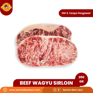 Beef Wagyu Sirloin