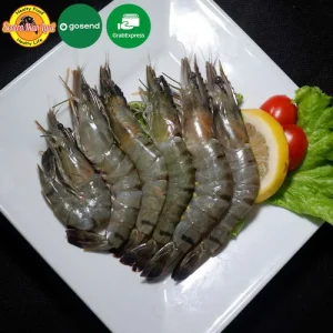 Udang Windu (Pancet)