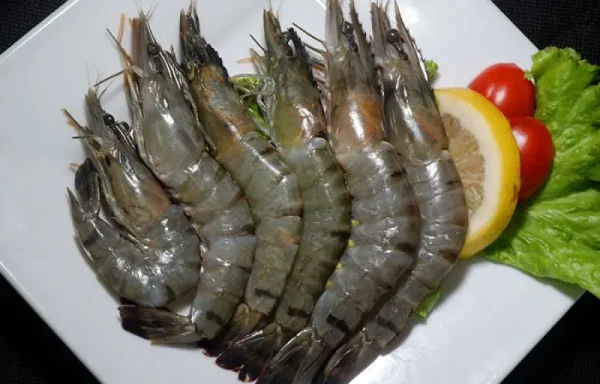 Udang