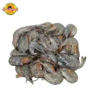 Udang Vaname