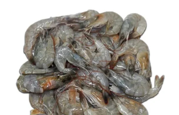 Udang Vaname