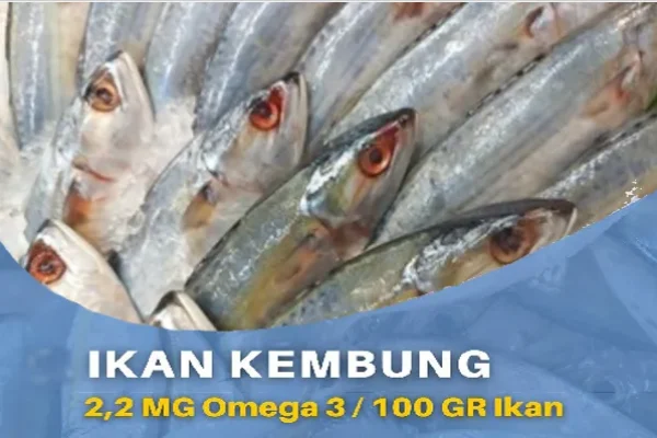 ikan kembung_front