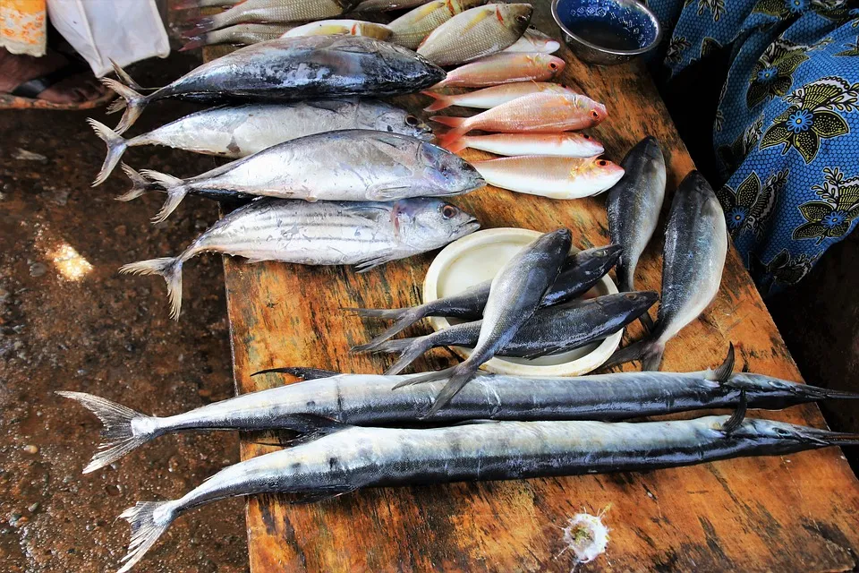 Inilah Perbedaan Ikan Beku dan Ikan Segar