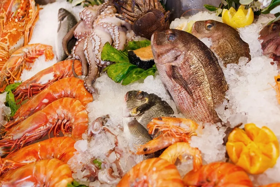 5 Manfaat Ikan Untuk Kesehatan